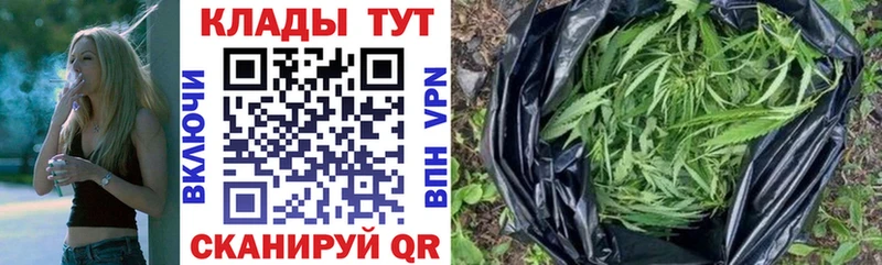 Где купить наркоту Алейск Alpha PVP Мефедрон Гашиш Канабис