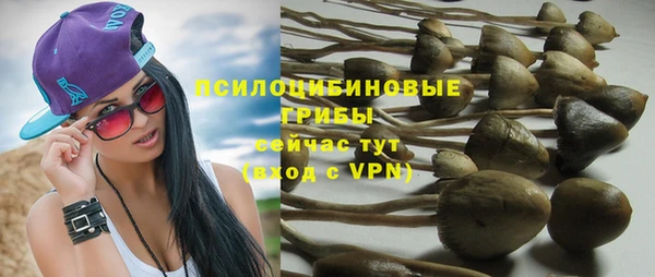 соль ск Аркадак