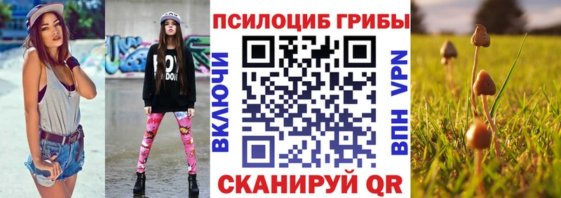 shop телеграм  Алейск  Галлюциногенные грибы Psilocybine cubensis  продажа наркотиков  omg зеркало 